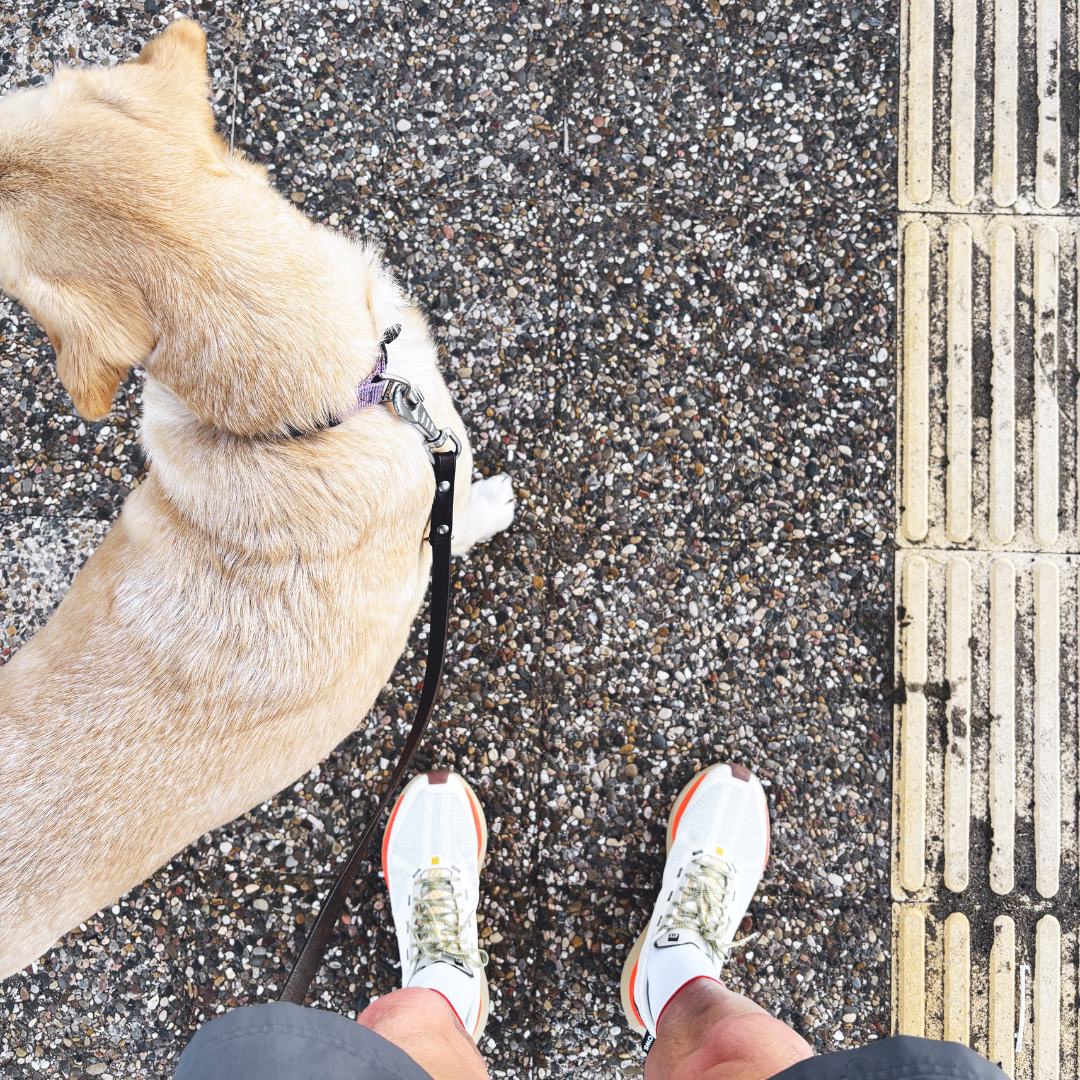 4T2 - weekdays running shoe in new vintage white with dual density midsole and durable outsole.